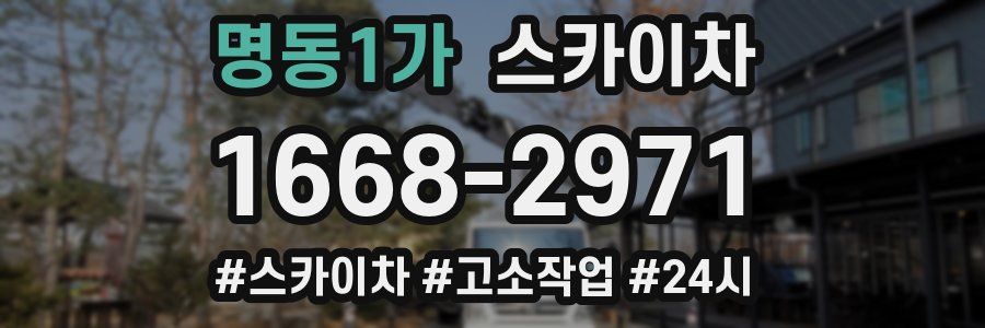 명동1가 스카이차