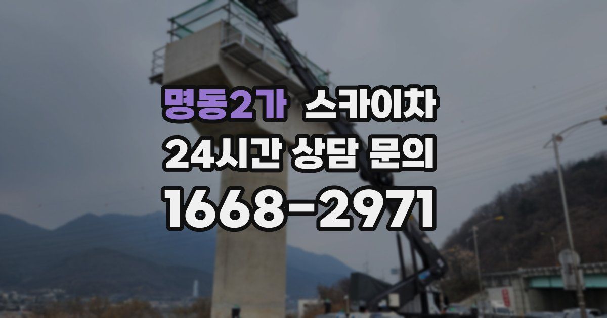 명동2가 스카이차