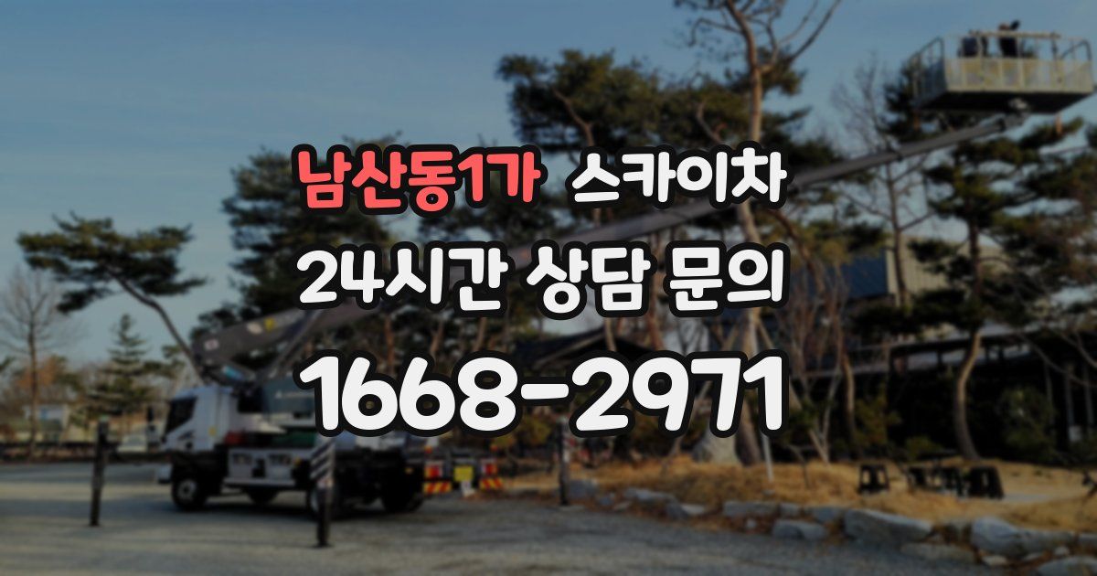 남산동1가 스카이차