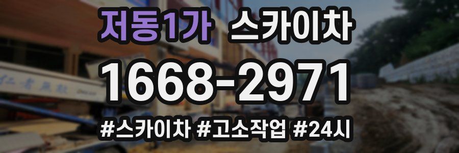 저동1가 스카이차