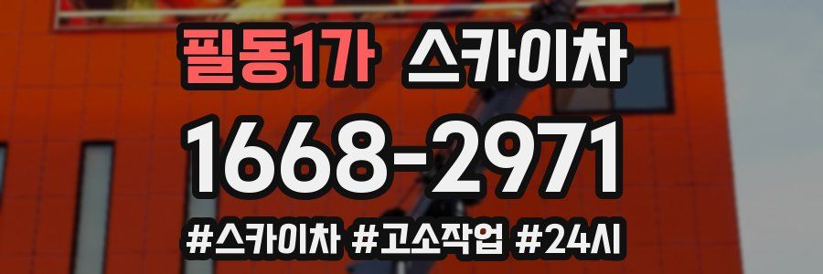 필동1가 스카이차