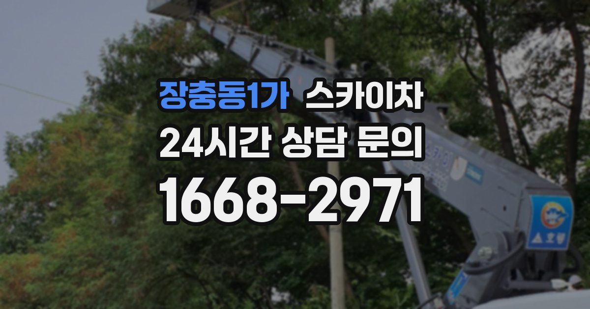 장충동1가 스카이차