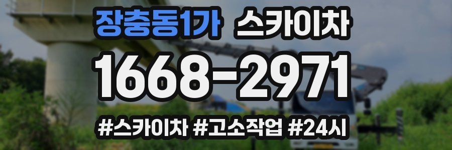 장충동1가 스카이차
