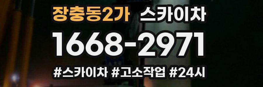 장충동2가 스카이차