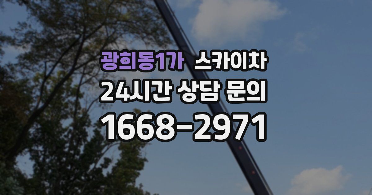 광희동1가 스카이차