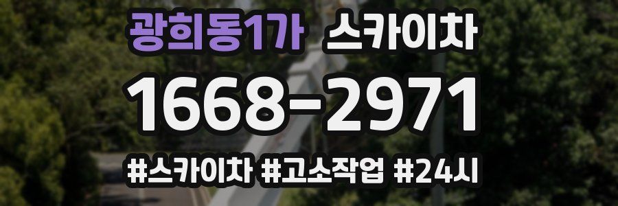 광희동1가 스카이차