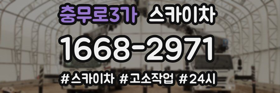 충무로3가 스카이차