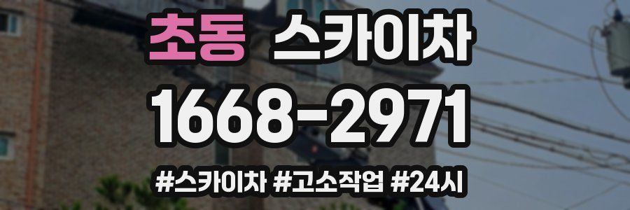 초동 스카이차