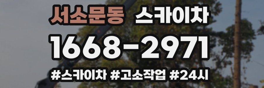 서소문동 스카이차