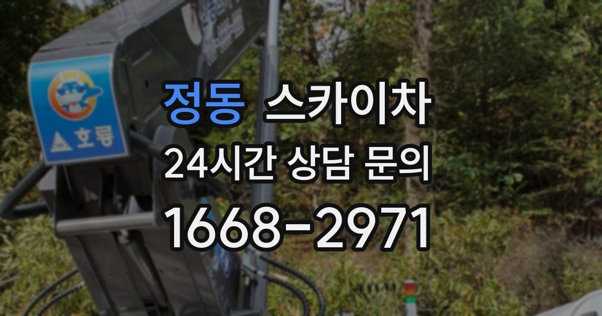 정동 스카이차