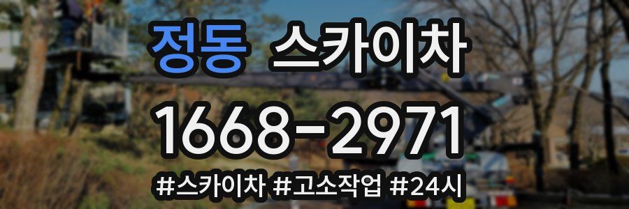 정동 스카이차