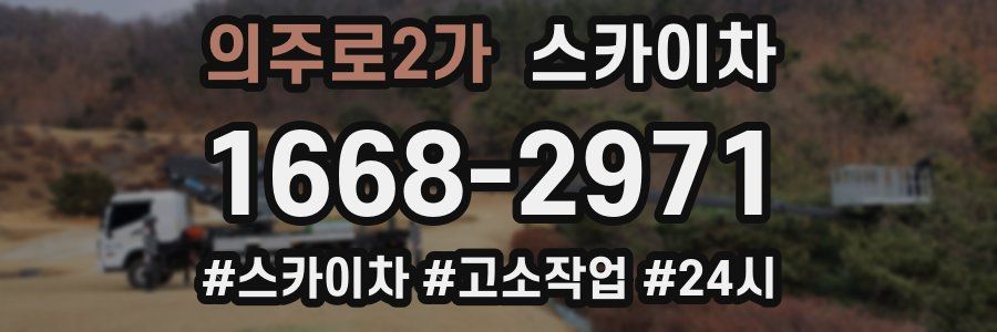 의주로2가 스카이차