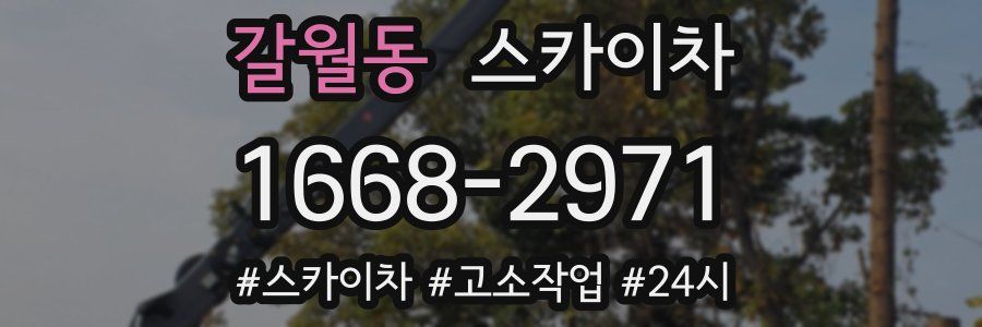 갈월동 스카이차