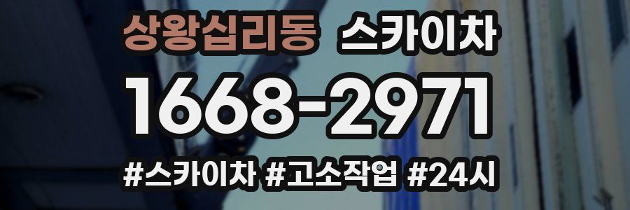 상왕십리동 스카이차