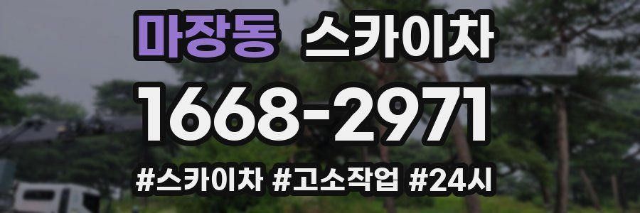 마장동 스카이차