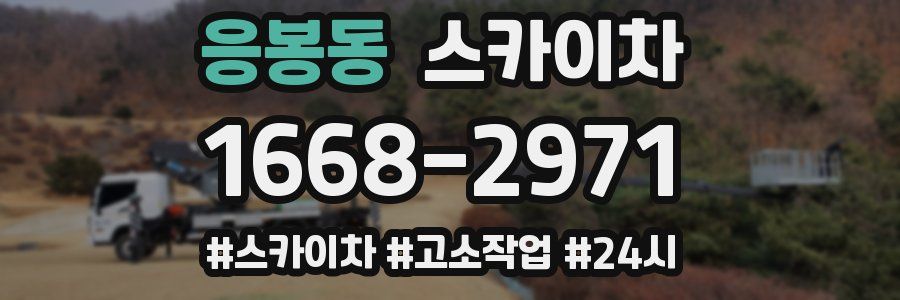 응봉동 스카이차