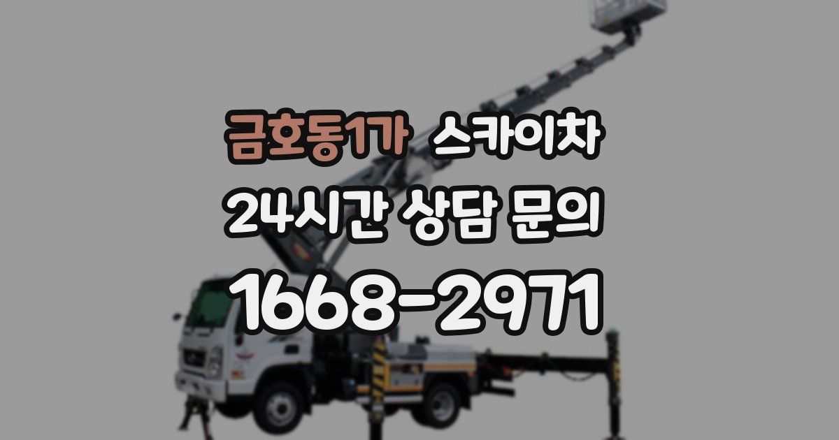 금호동1가 스카이차