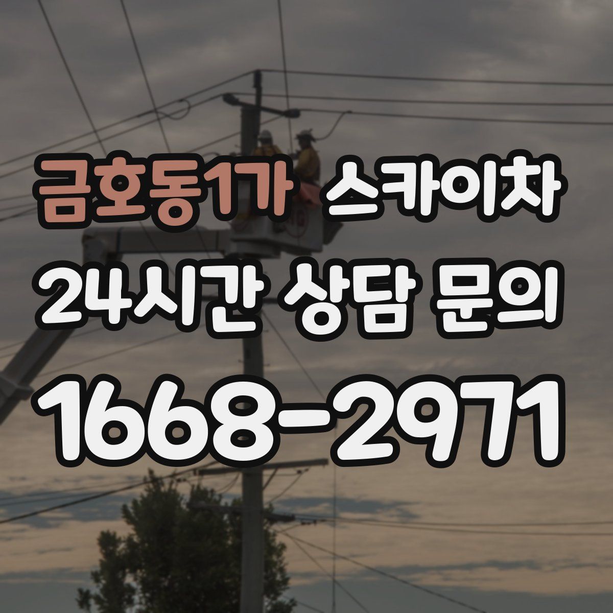 금호동1가 스카이차