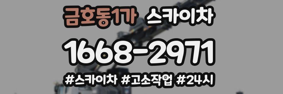 금호동1가 스카이차