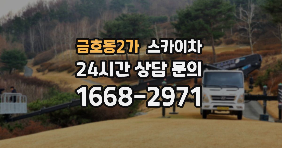 금호동2가 스카이차
