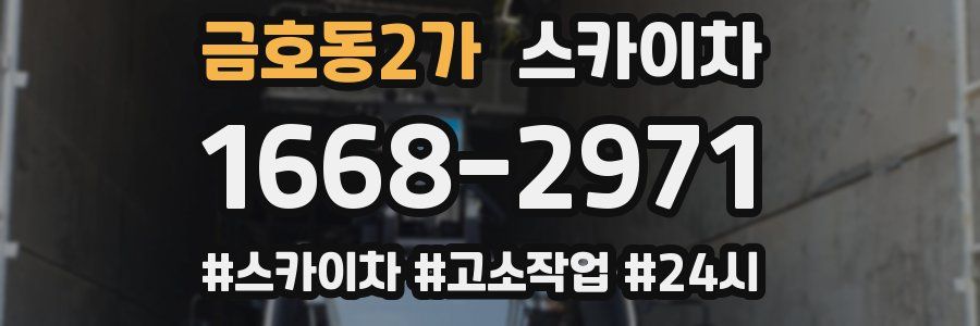 금호동2가 스카이차