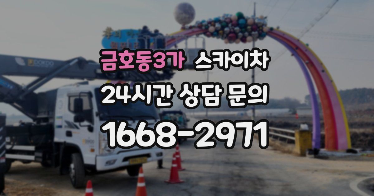 금호동3가 스카이차