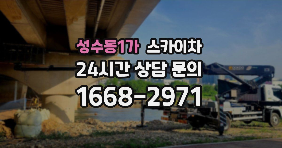 성수동1가 스카이차