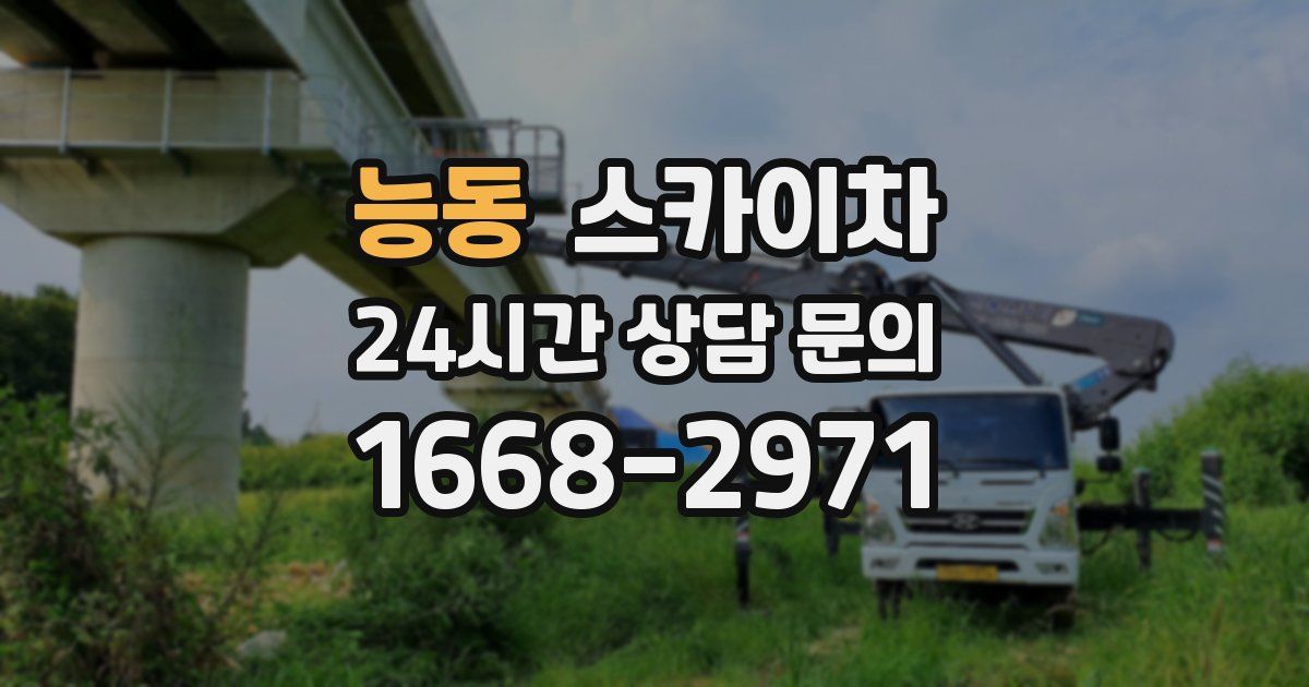 능동 스카이차