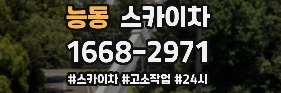 능동 스카이차
