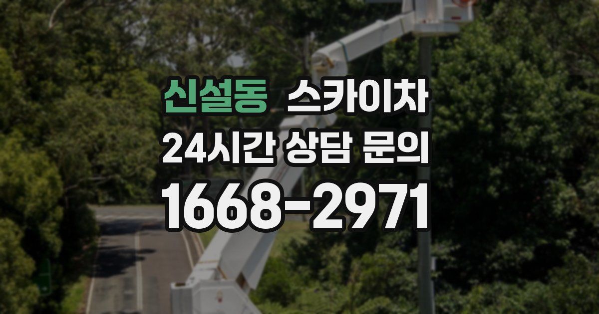 신설동 스카이차
