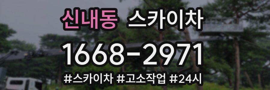 신내동 스카이차