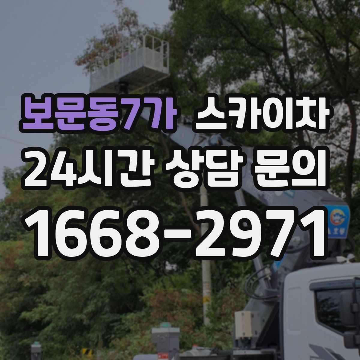 보문동7가 스카이차