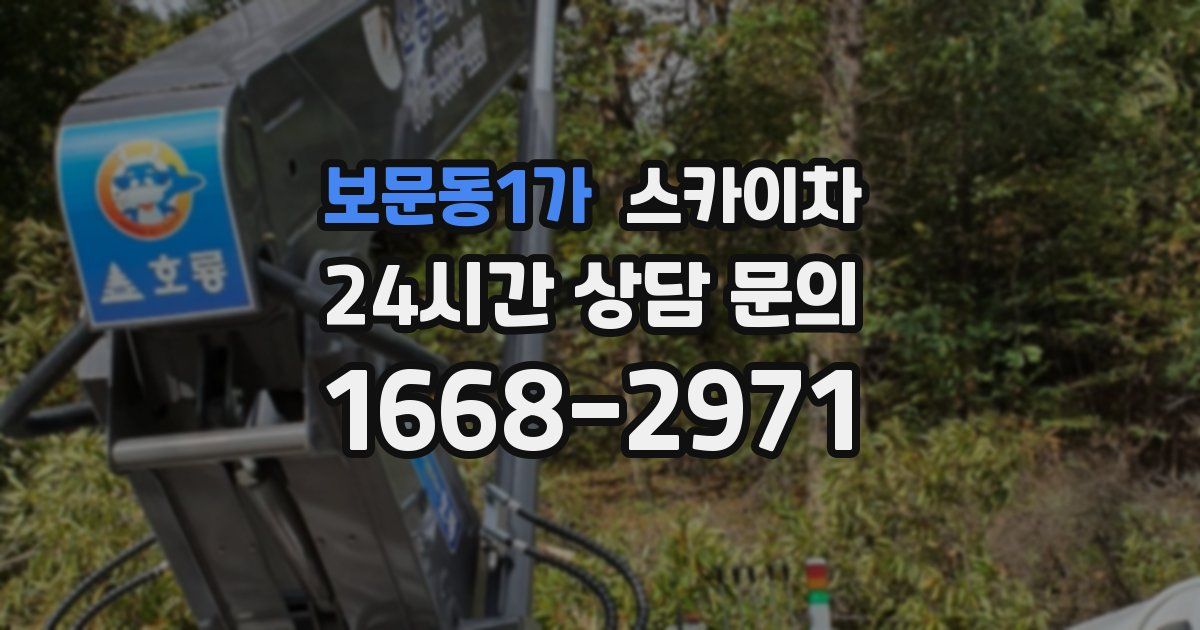 보문동1가 스카이차