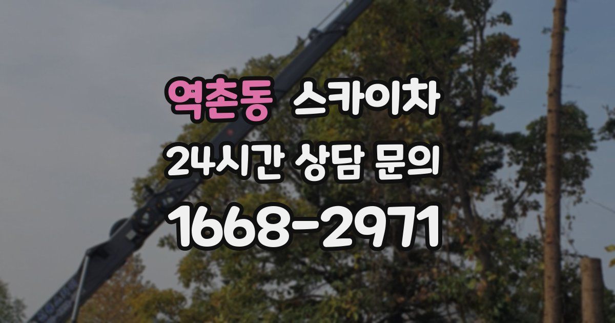 역촌동 스카이차