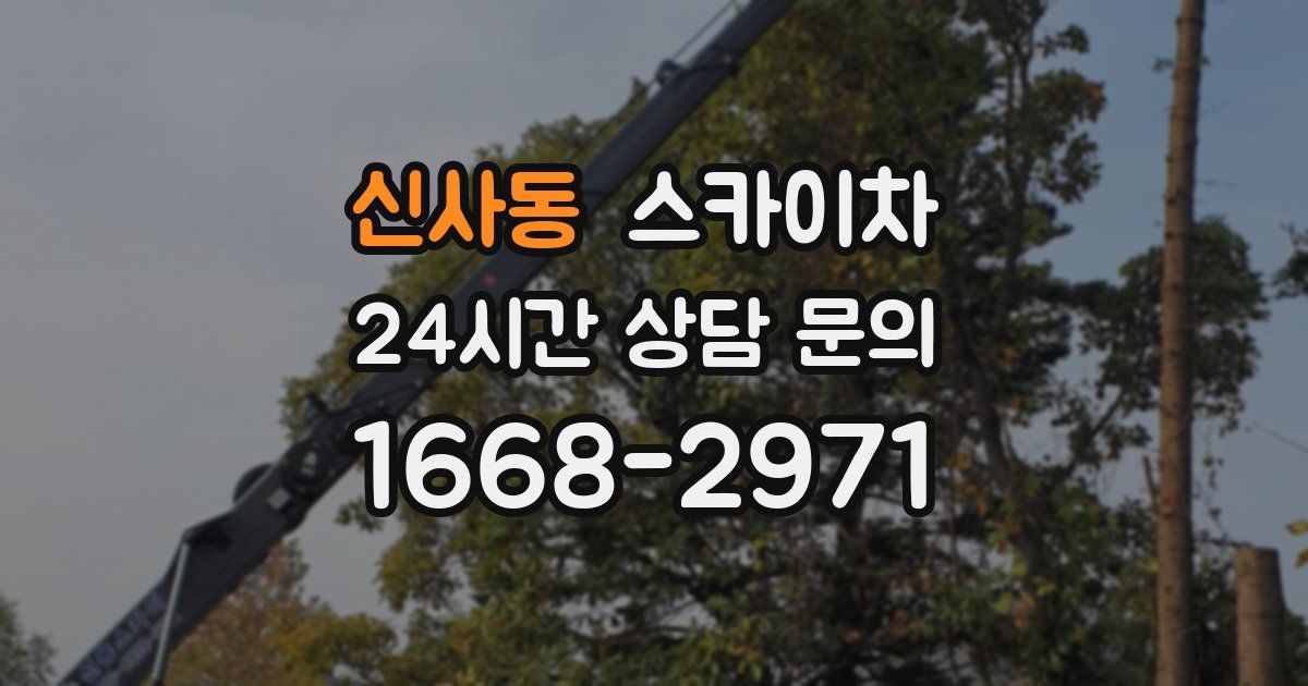 신사동 스카이차