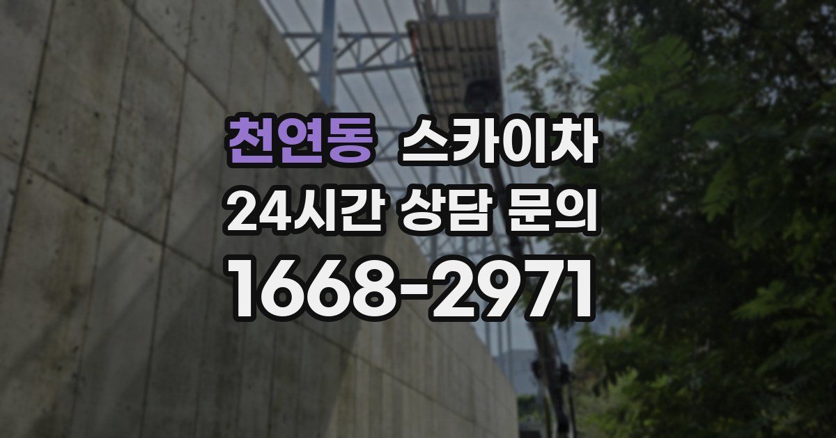 천연동 스카이차