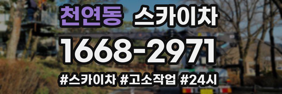 천연동 스카이차
