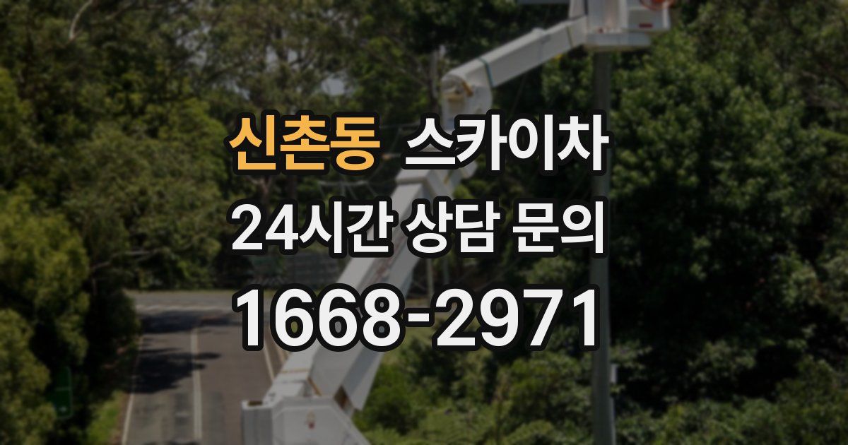 신촌동 스카이차