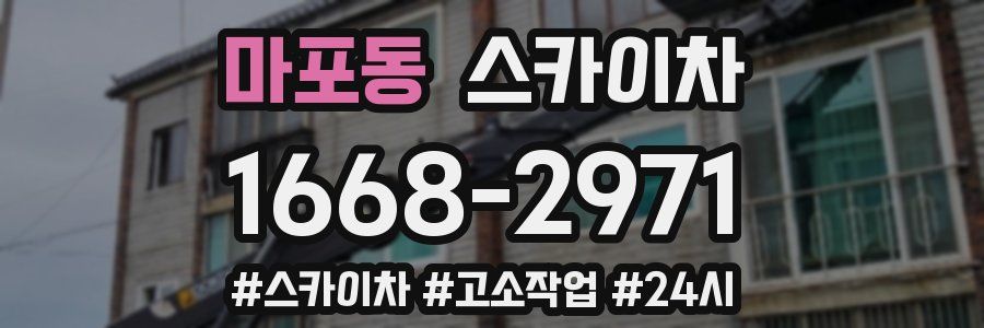 마포동 스카이차