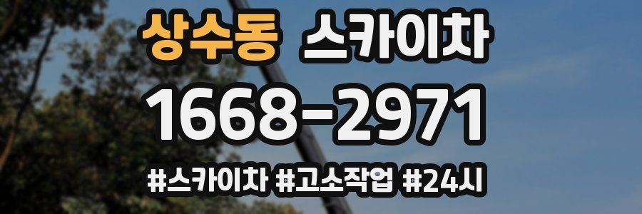 상수동 스카이차