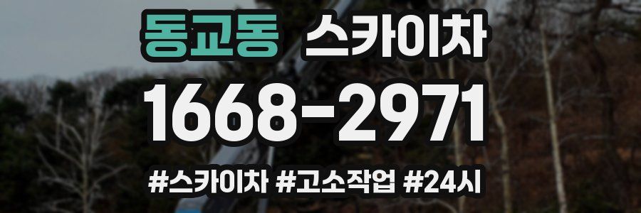동교동 스카이차