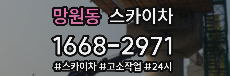 망원동 스카이차