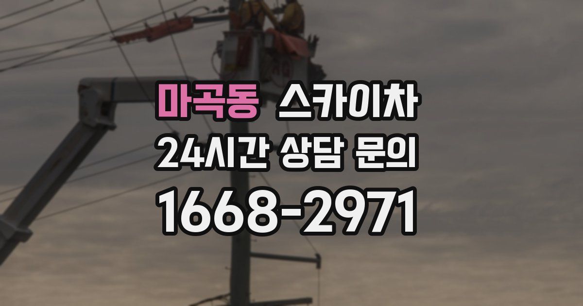 마곡동 스카이차