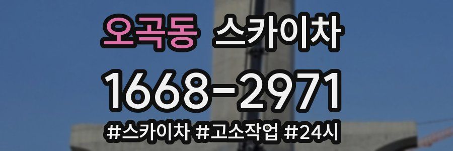 오곡동 스카이차