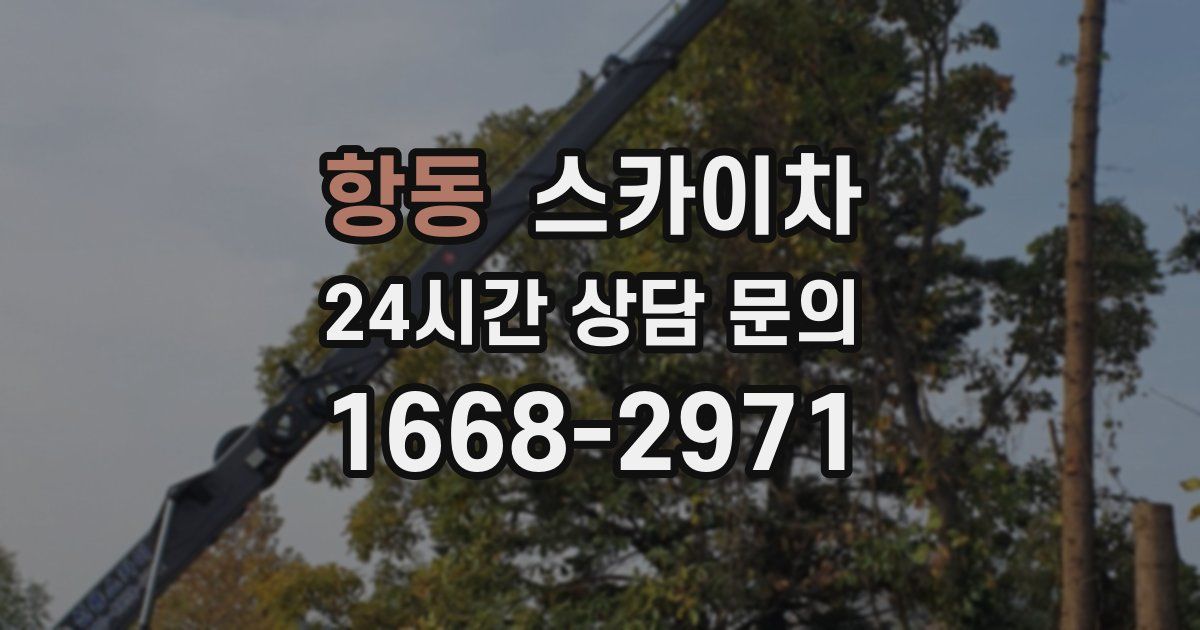 항동 스카이차