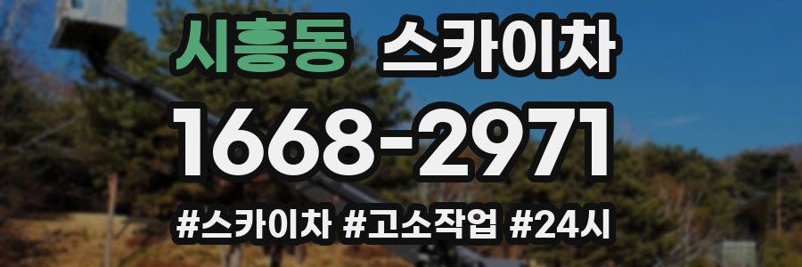 시흥동 스카이차