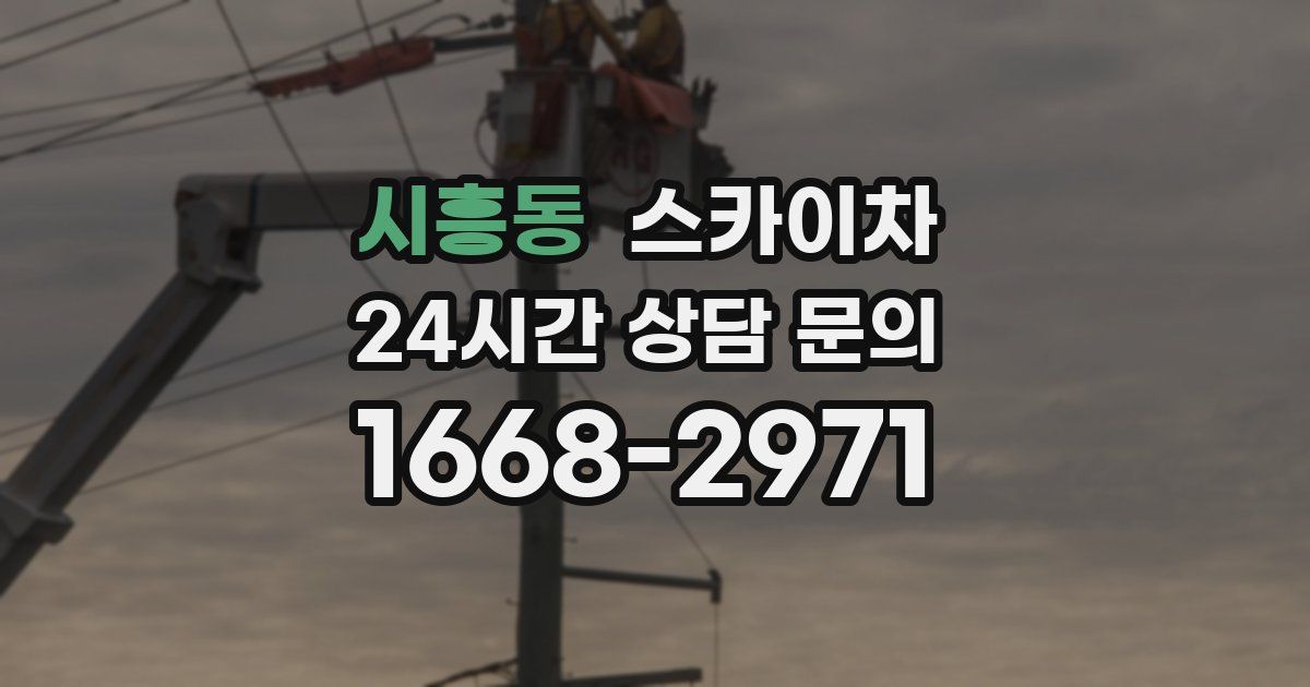 시흥동 스카이차