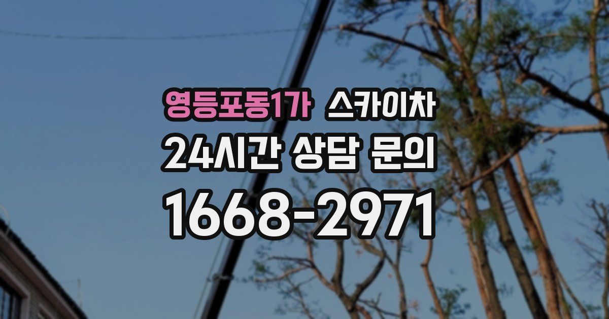 영등포동1가 스카이차