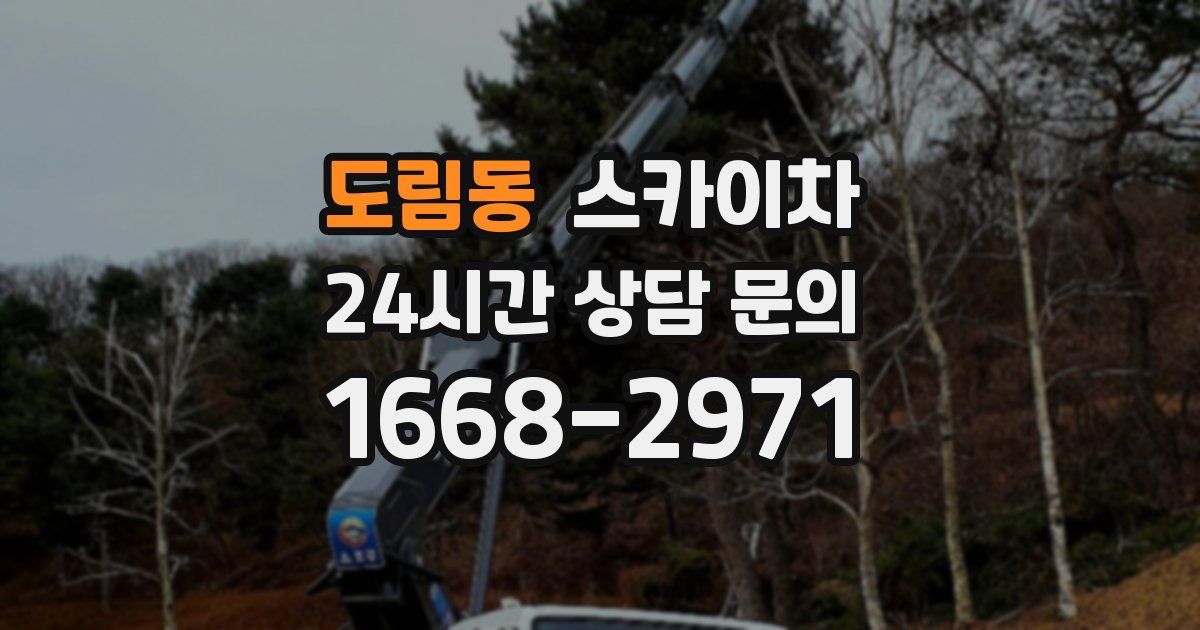 도림동 스카이차