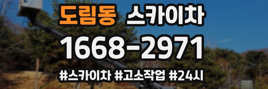 도림동 스카이차